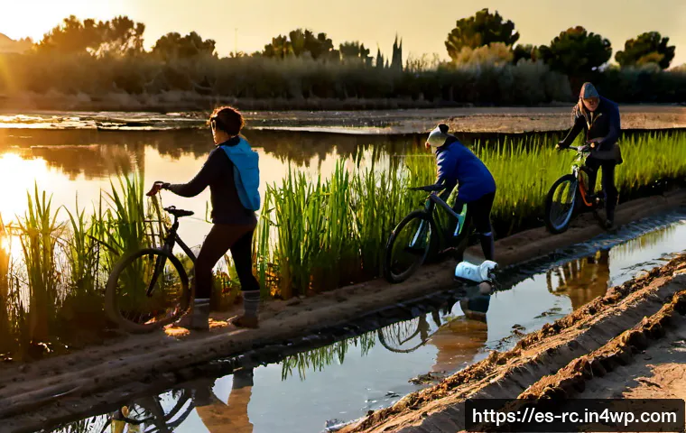 지역 생태계 보호를 위한 시민 주도의 프로젝트 - Photorealistic citizen-led wetland restoration project in coastal Valencia, Spain, diverse local vol...