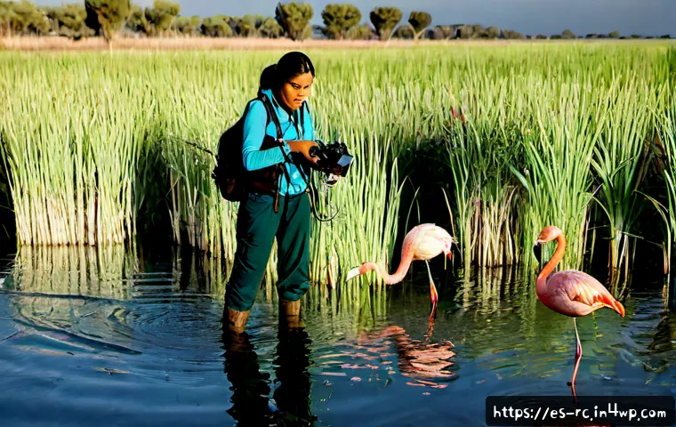 Home 17 생태계 모니터링의 글로벌 트렌드 - Photorealistic global ecosystem monitoring field station in the Spanish Mediterranean wetlands, a Hi...