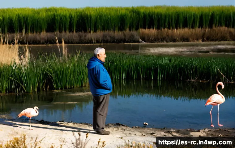 생태계 변화에 대한 경각심 높이기 - Photorealistic environmental comparison scene in a Spanish Mediterranean coastal wetland: a healthy ...